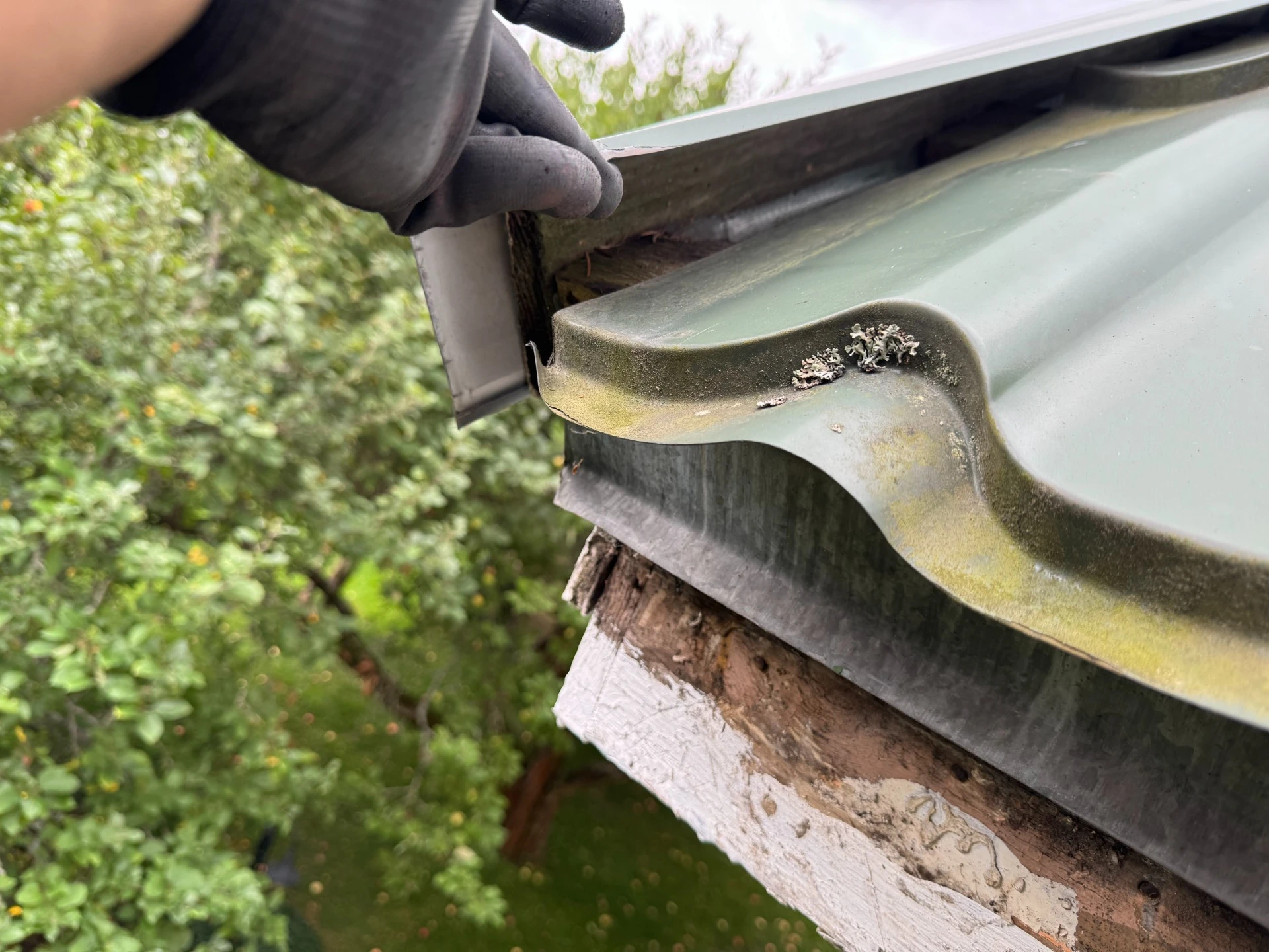 Kosteusvaurio kattorakenteissa