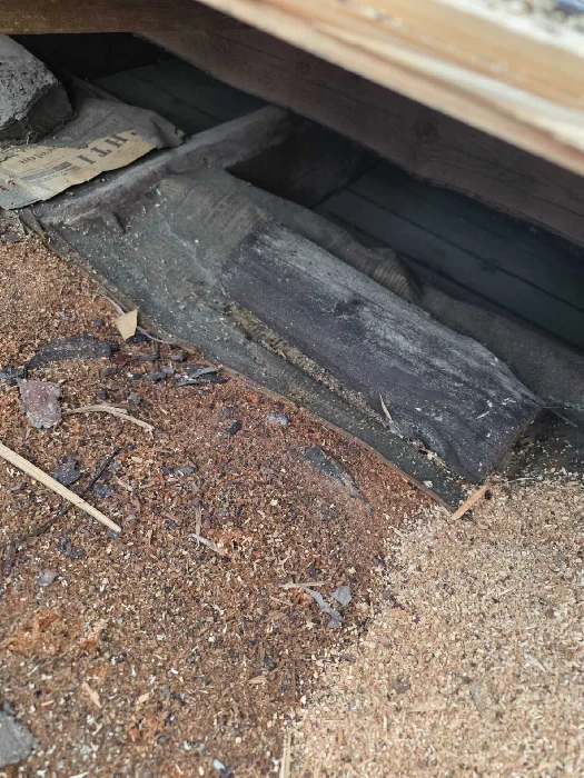 Märkä purueriste yläpohjassa on vakava kosteusvaurioriski