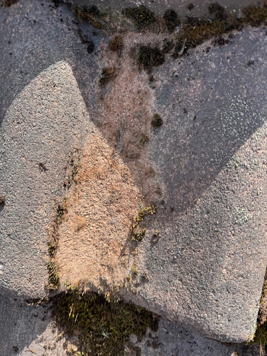 Sammaloitunut tiilikatto lähikuva