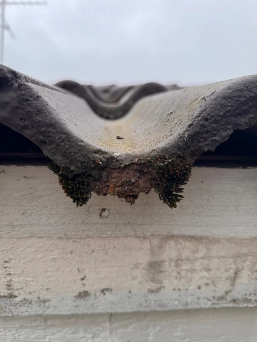 Pakkasrapautunut kattotiili