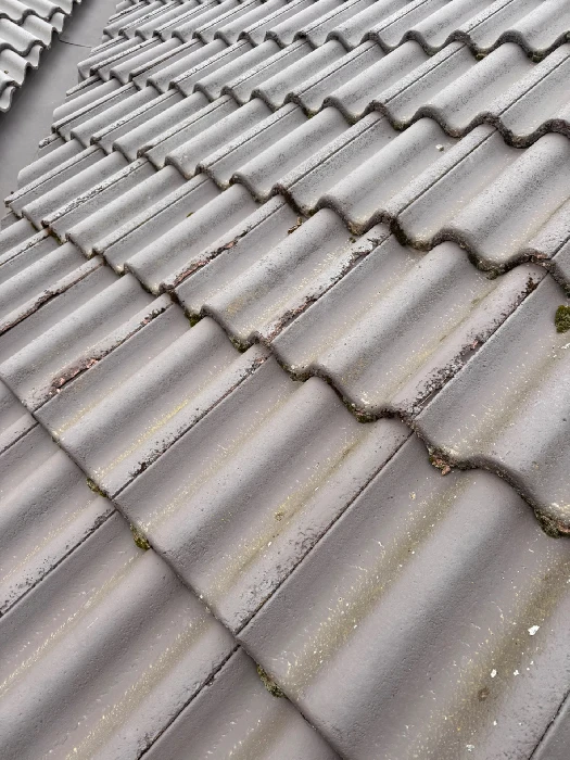 Sammal syö tiilen pintaa