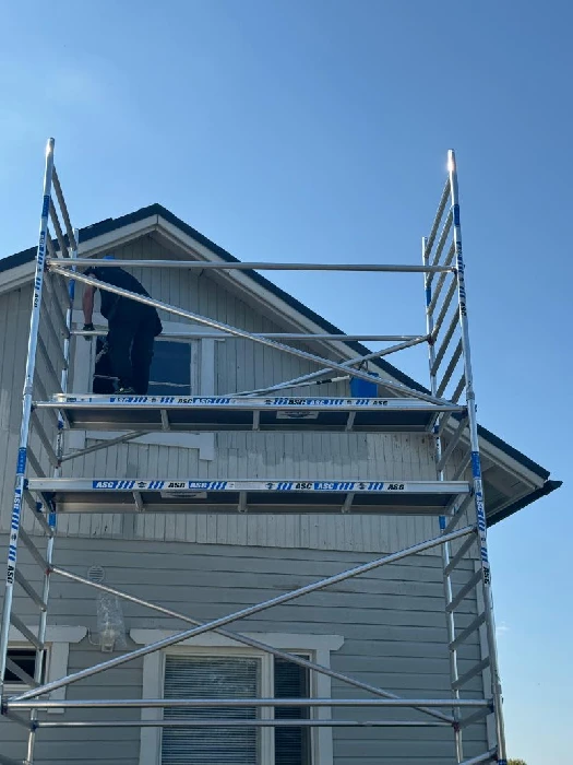 Julkisivu hilseilee onko home pilkkuja