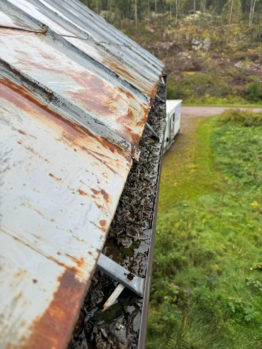 Täysin lehdillä tukkeutunut vesikouru