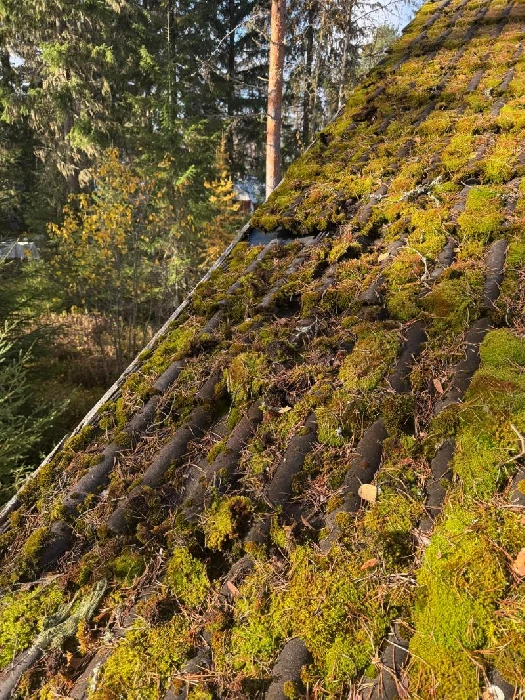 Täysin sammaloitunut tiilikatto