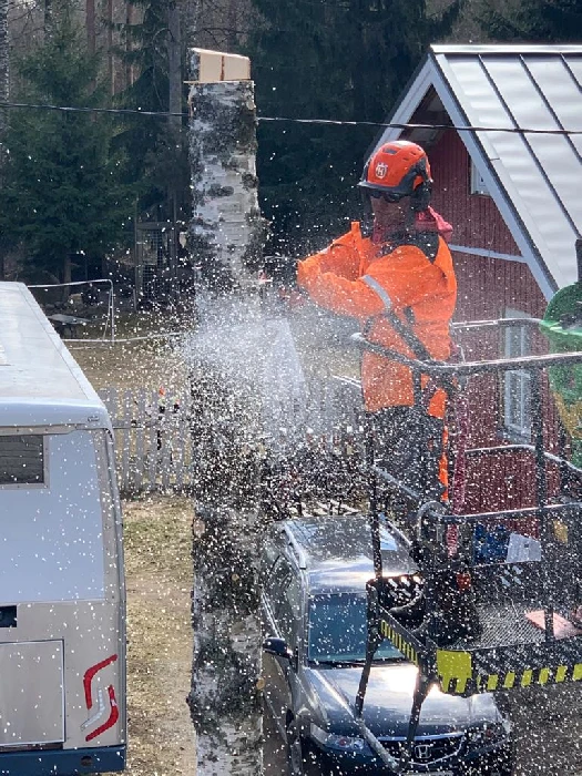 Tontin puiden raivaus Pirkanmaa, Uusimaa, Kanta-Häme, Pori ja Varkaus lähikuntineen