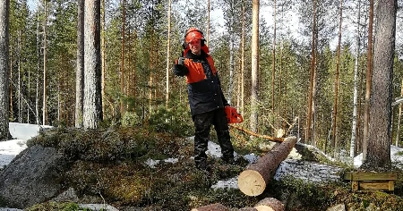 Joni Karra puunkaatotehtävissä