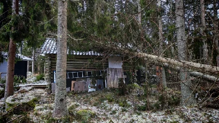 Puu kaatunut mökin päälle