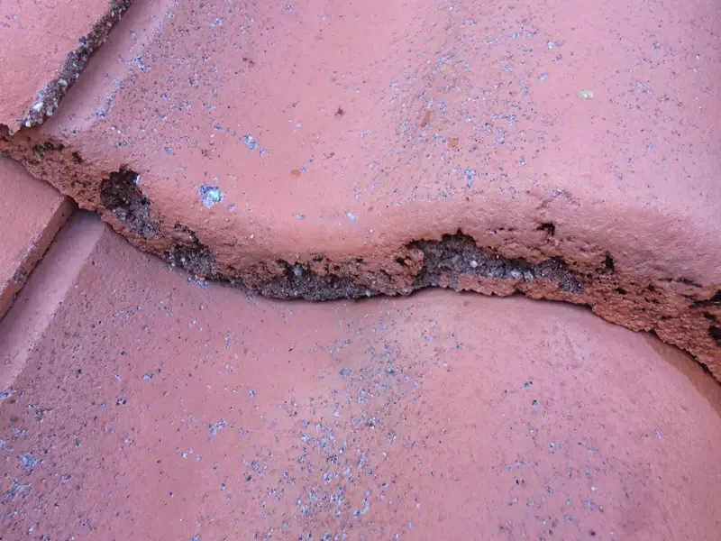 Rapautunut kattotiili sammaleen takia